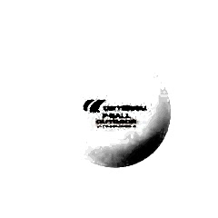 CORNILLEAU 6'LI KUTU AÇIK ALAN PLASTİK TOP (BEYAZ)